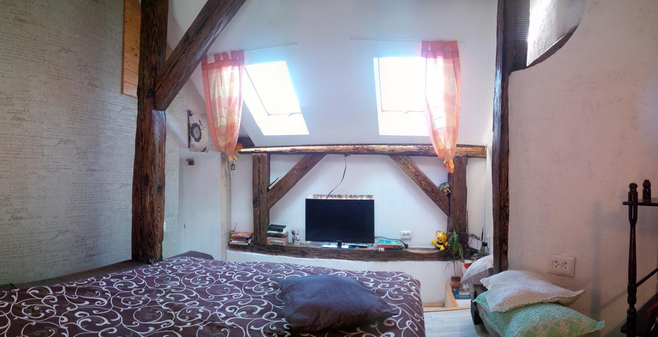 Lviv Amazing Rooftop Apartment Экстерьер фото